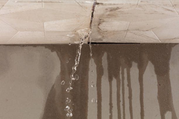Professional Water Damage Repair technician working in Hoodsport, WA